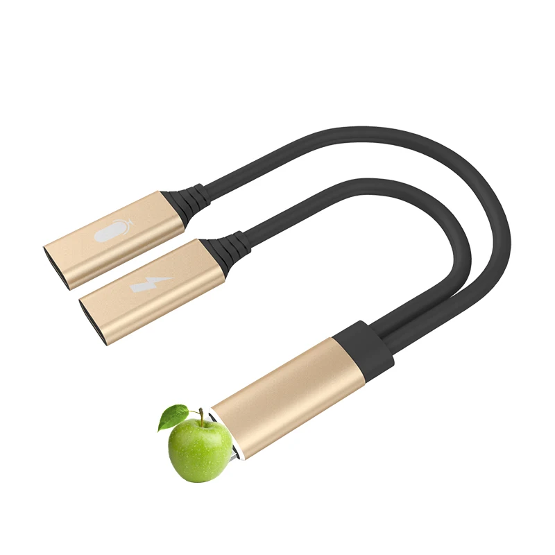 Мини 2 в 1 адаптер с двойным разъемом аудио кабель для зарядки iPhone X 8 7 Plus конвертер