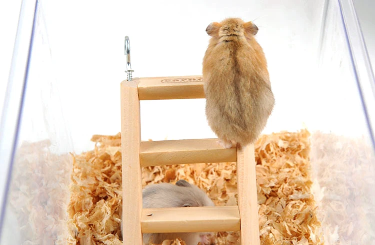 Высококачественная сосна искусственная животная лестница деревянные игрушки