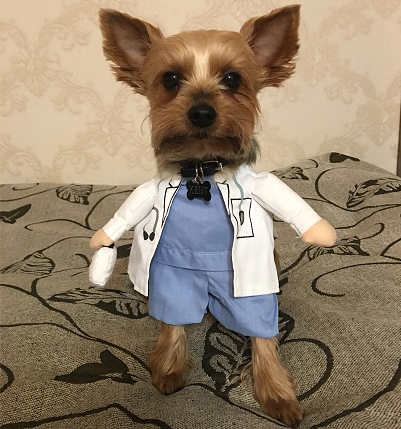 Grappige Kat kostuum искусств Pak huisdier honden kleding форма voor щенок yorkieshire Чихуахуа Бизнес наряд 35
