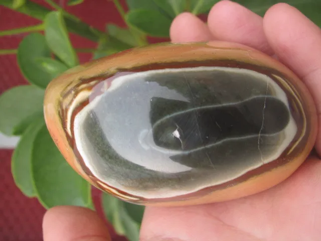 339 г, маленькие образцы из натурального кварцевого кристалла sea jade penjing 339 г, маленькие образцы из натурального кварцевого кристалла sea jade penjing