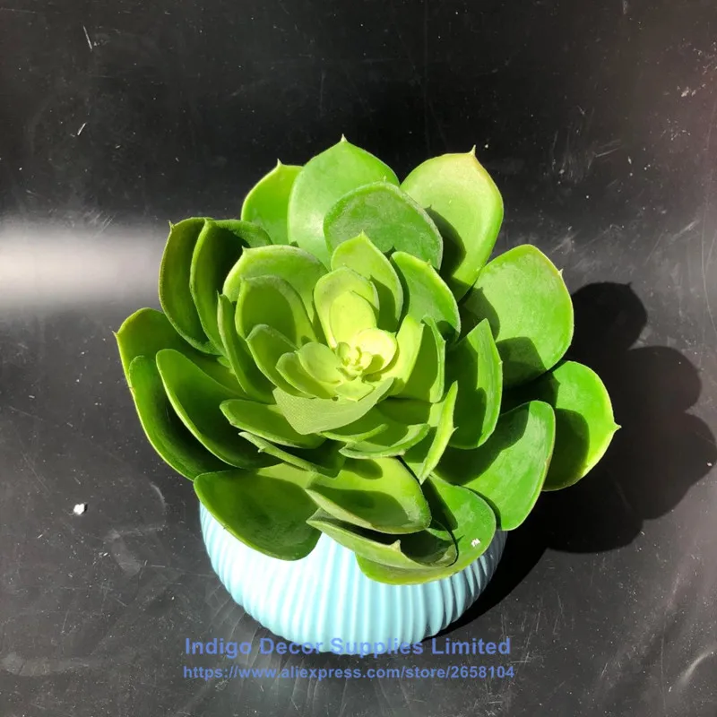 

Wholesale 60pcs Big Size Desert Lotus Artificial Succulent Plant Plastic Flower Decoration Green Plant Background Free Shipping