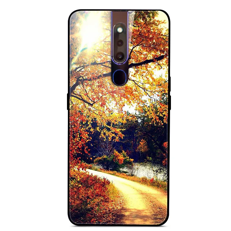 14 6,5" для OPPO F11 Pro чехол закаленного стекла задней панели жесткий чехол для OPPO F11 Pro F11Pro F 11 Pro чехол OppoF11Pro крышка бампера - Цвет: 14
