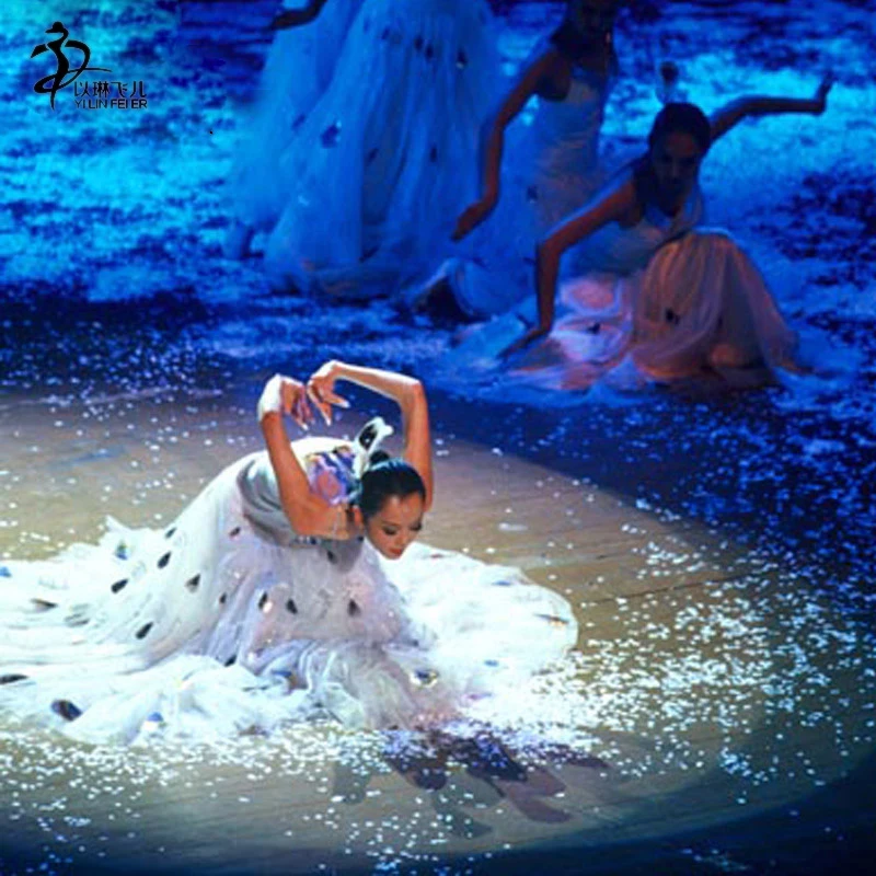 Китайский костюм для танца с блестками и павлином | Тематическая одежда униформа