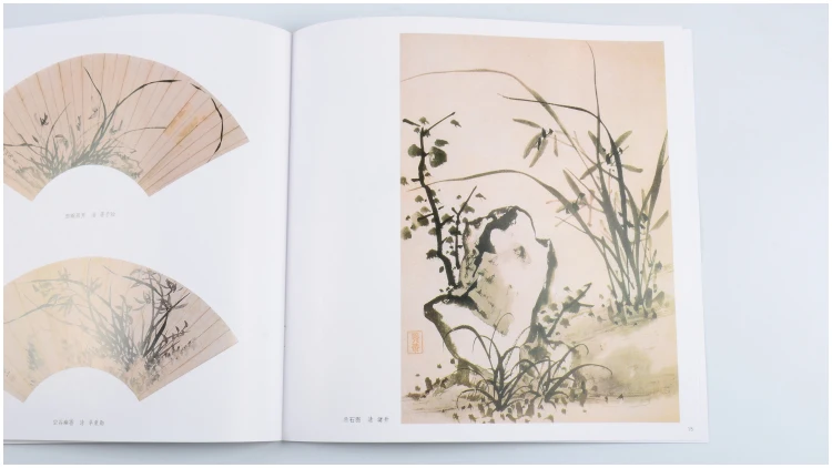 Коллекция орхидеи для рисования свободная ручная живопись техника цветов книга