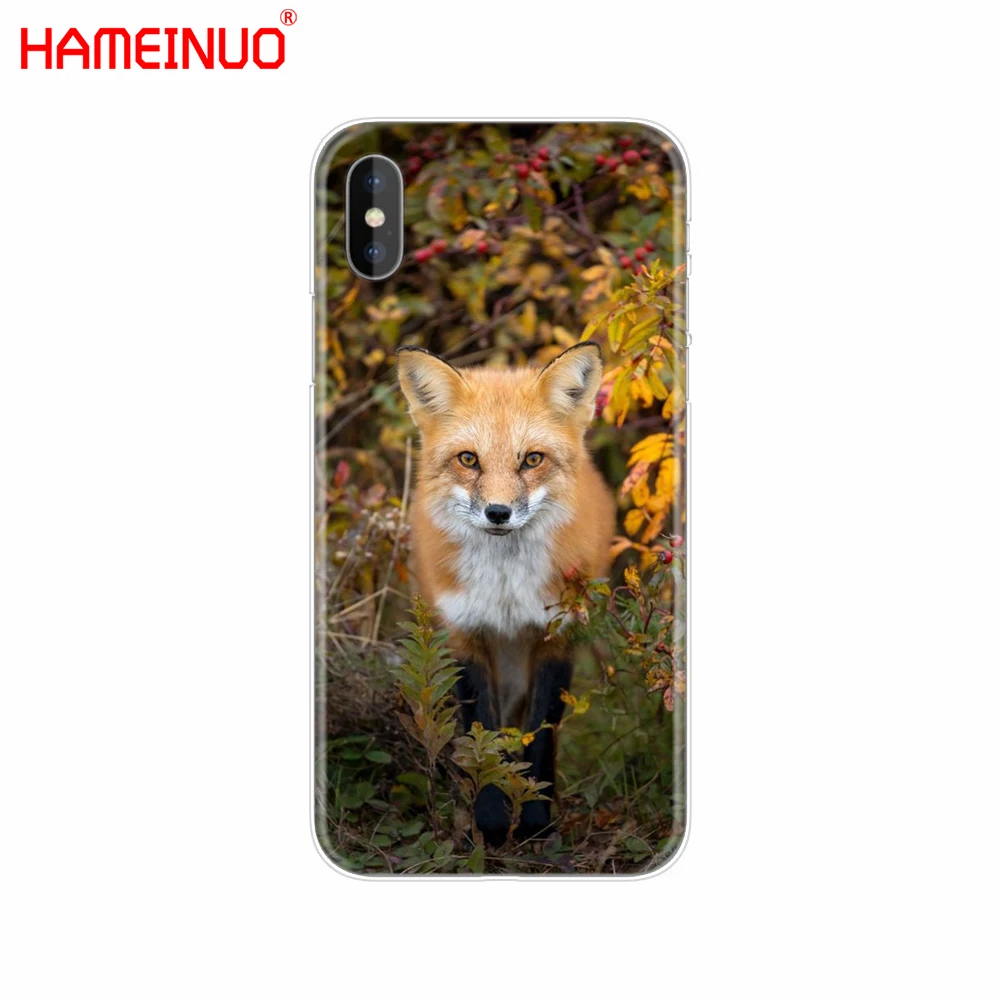 HAMEINUO лиса милые животного Чехол для мобильного телефона iphone 6 4 4s 5 5s SE 5c 6s 7 plus чехол