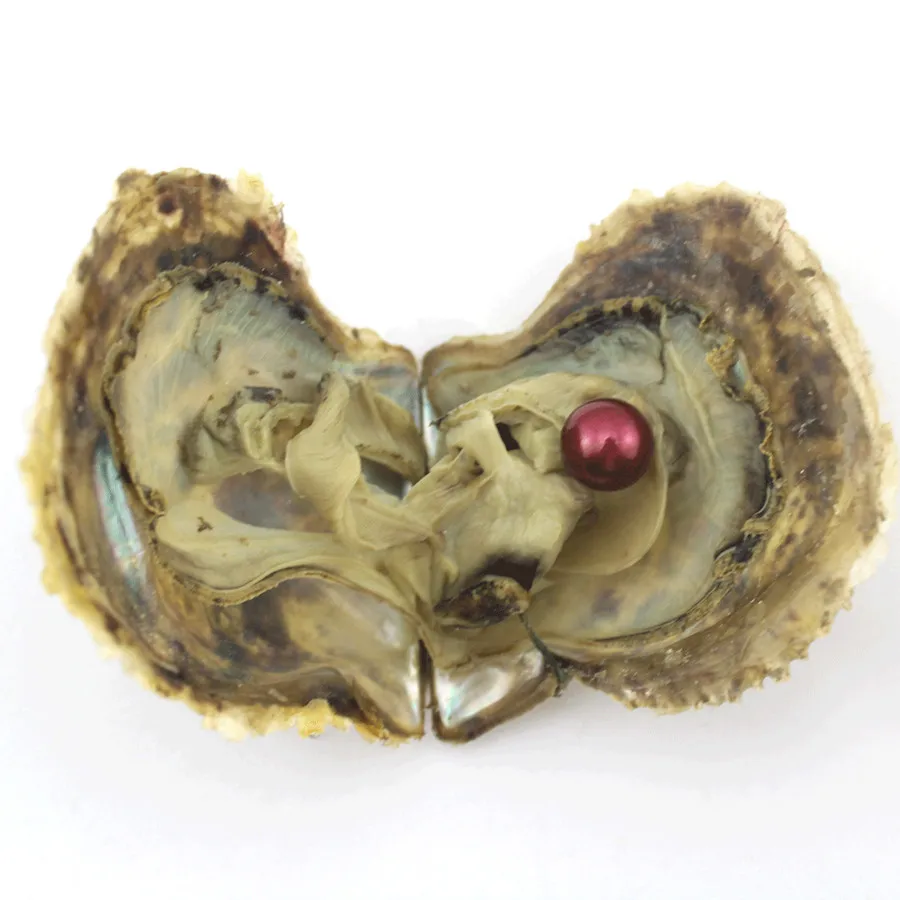 Эдисон устричная жемчужина морской натуральный жемчуг 20 шт. свободные большие