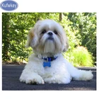 Картина для алмазной вышивки с изображением собаки, квадратной формы, 5d