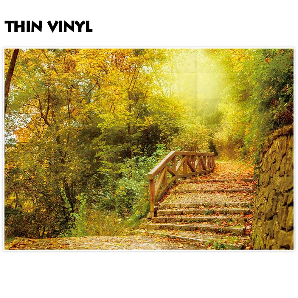 Allenjoy осенний фон для фотосъемки каменные лестницы деревья упавшие листья