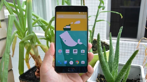 Глобальная версия Oneplus 3 One Plus Three A3003 4G LTE мобильный телефон Android 6,0 5," FHD 6 Гб ram 64 Гб rom 16 МП отпечаток пальца NFC