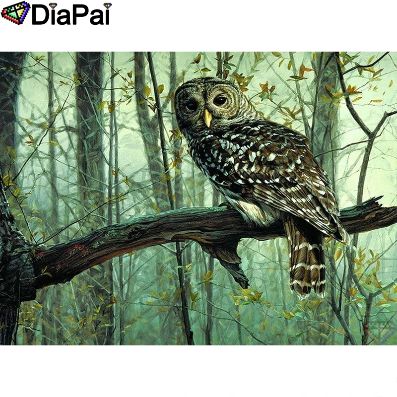

DIAPAI Diamond Painting 5D DIY 100% Full Square/Round Drill "Animal owl scenery" Diamond Embroidery Cross Stitch 3D Decor A24419