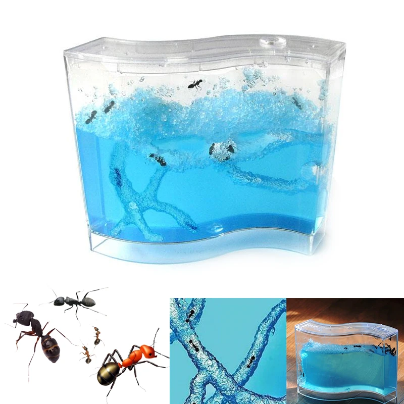 Ant House красочный контейнер для геля Террариум насекомых игрушка маленьких