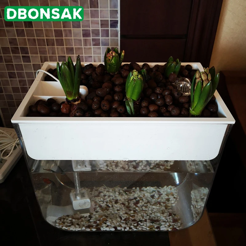 Симбиоз для рыб и овощей гидропонный контейнер без воды аквариумный ленивый