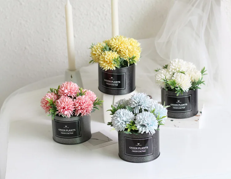 Промо акция! Радужная Маргаритка сад Хризантема смесь бонсай Флер Планте Naturelle