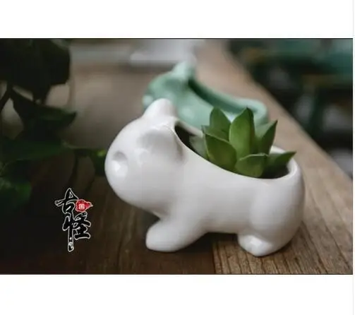 Милый керамический мини-цветочный горшок 3D горшок-лягушка белый зеленый