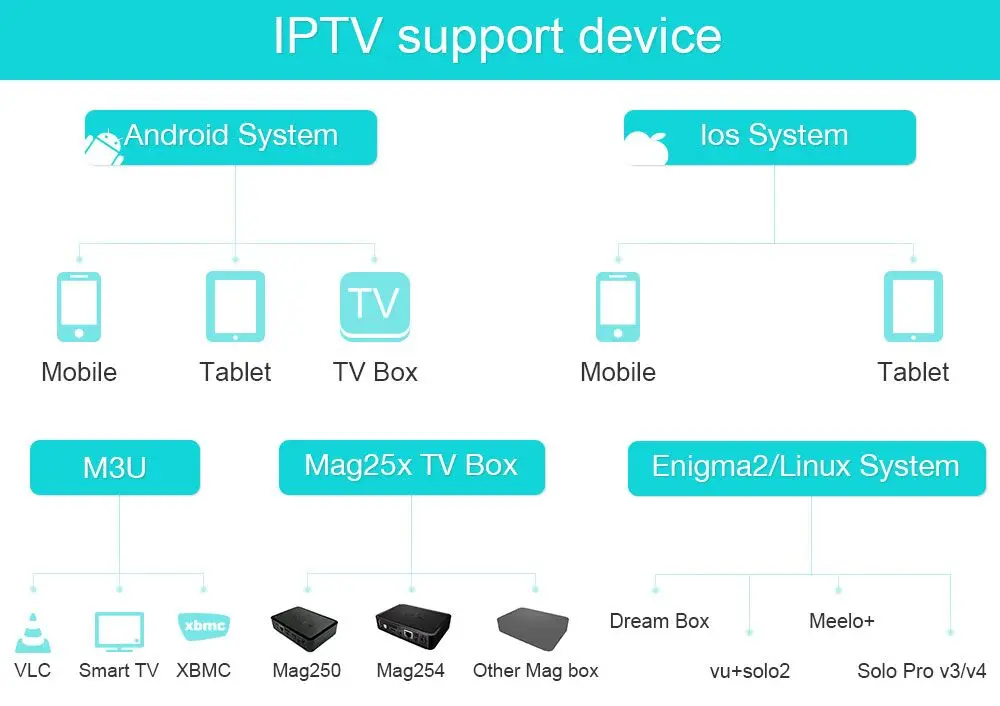 HD IPTV Subcription арабский Европа Italia один год Live tv VOD фильмы каналы Smart tv mag box Топ сервер CCcam Cline на 1 год