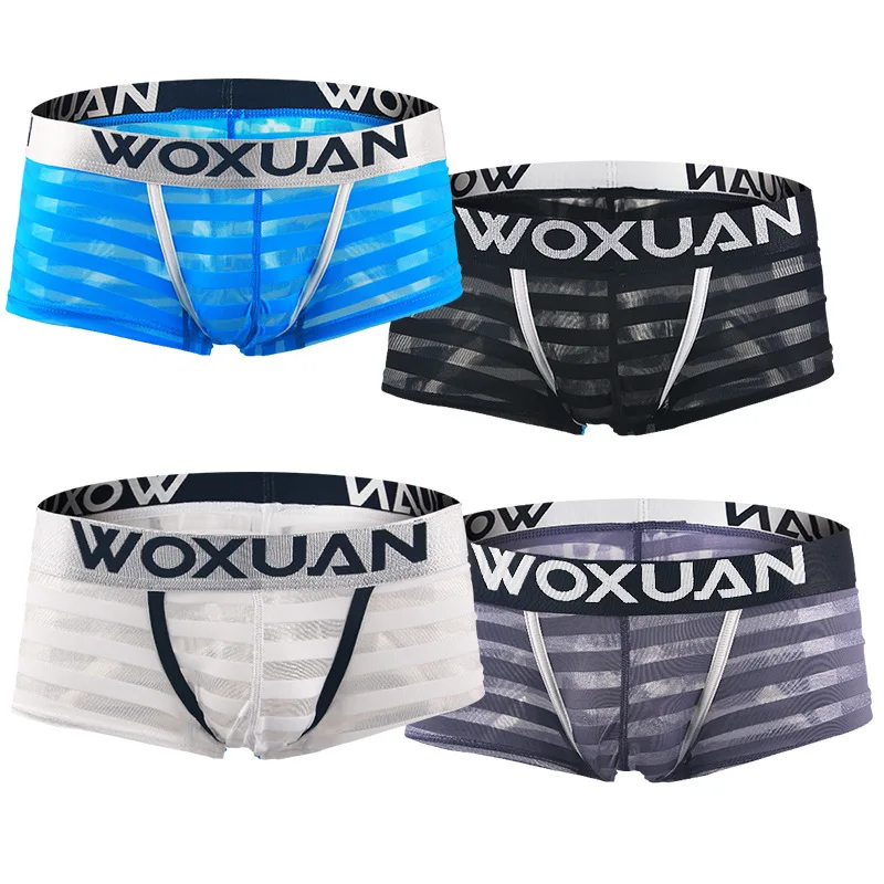 

Sexy Underwear Men Transparent Boxers Shorts Man Breathable Mesh U Convex Pouch Low Waist Underpants Cueca calzoncillos S-XL