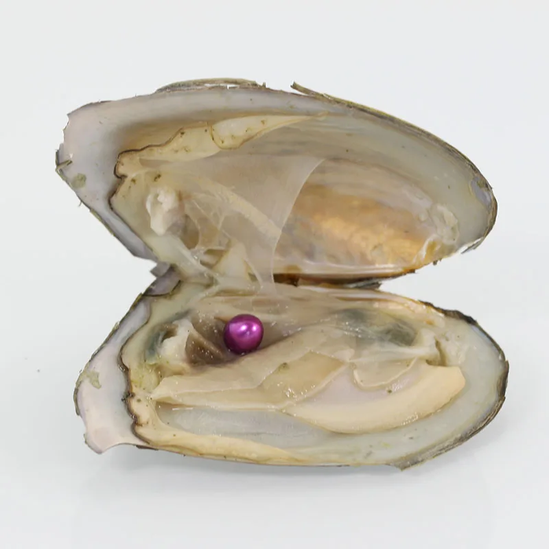 20 шт. пресноводные устрицы вакуумная упаковка жемчужины Oyster Love Wish AAA 6 7 мм для