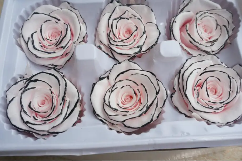 

6pcs 6-7cm Preserved Rose Flowers Bud Head with Black Edge Wedding Party Birthday Valentine's Day Gift Favors DIY Bouquet New