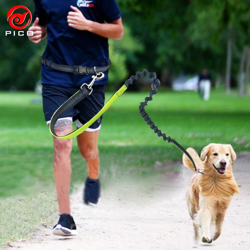 

High Quality 190*2.5cm Elastic Pet Dog Walking Lead Running leash puppy Sports Jogging small dogs Collar Rope ZL284-1