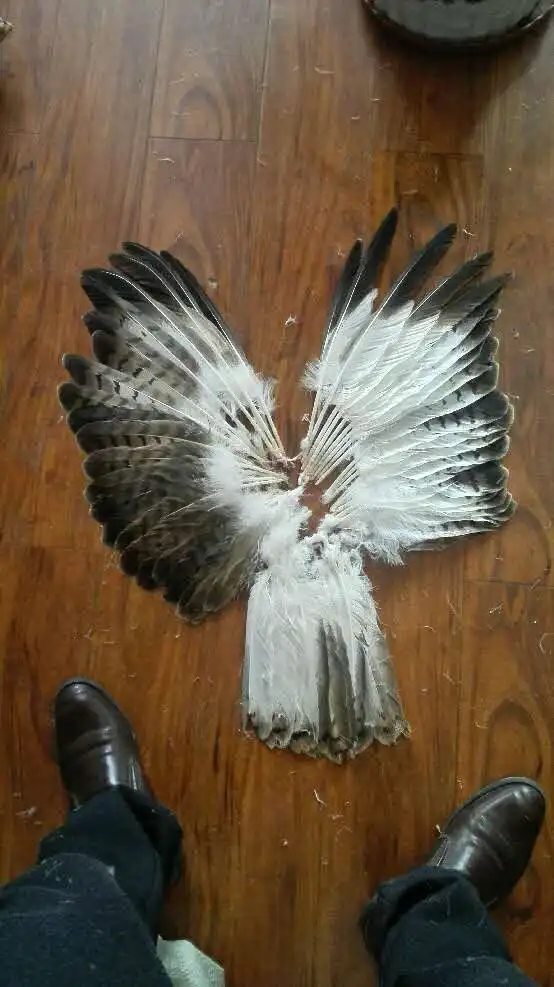 58 шт. декоративные перья 10 16 дюймов/25 40 см|tail feathers|owl feathersdecorative feathers |