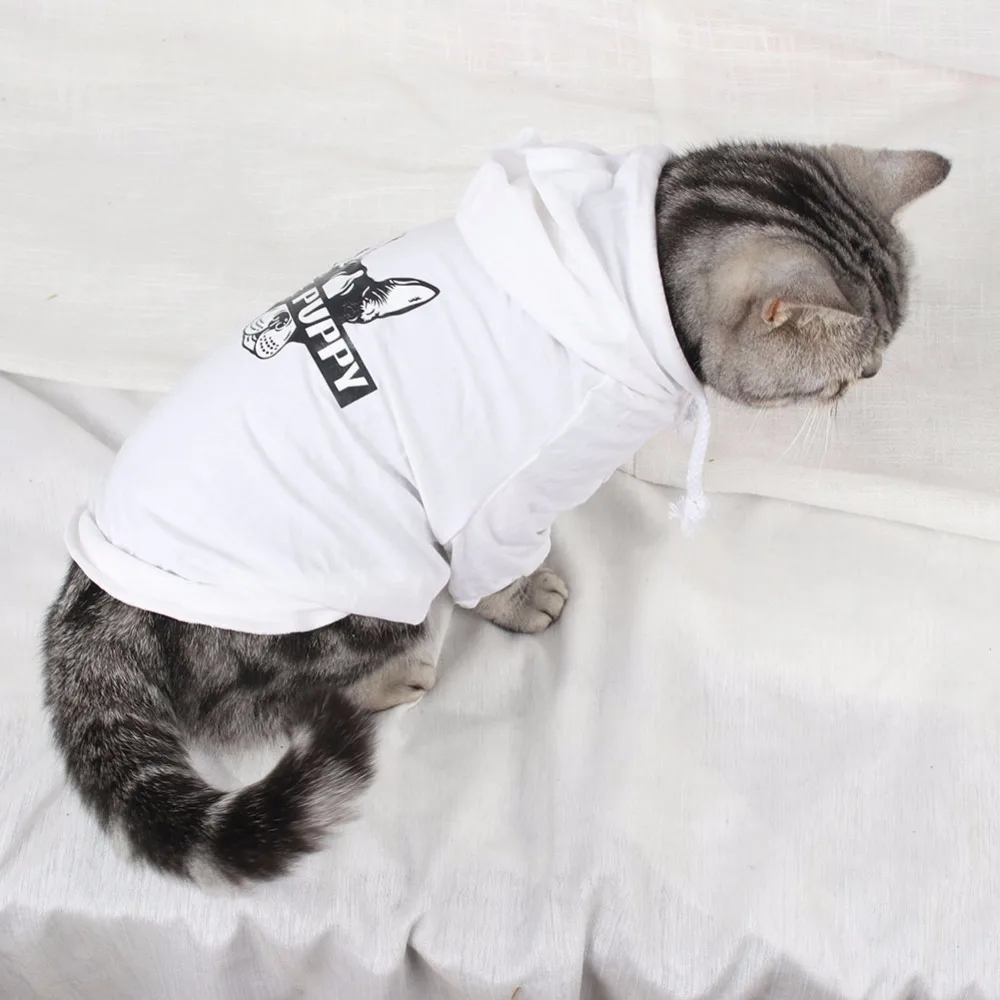 PipiFren маленькая одежда для кошек толстовка с капюшоном костюм котят йоркширский