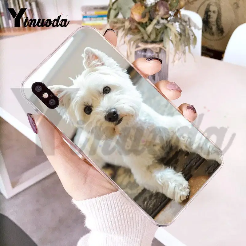 For iphone 13 7 6 X Case Westie Terrier Dog Puppy Highland Phone for 8 6S Plus 5 5S SE 5C XS XR | Мобильные телефоны и