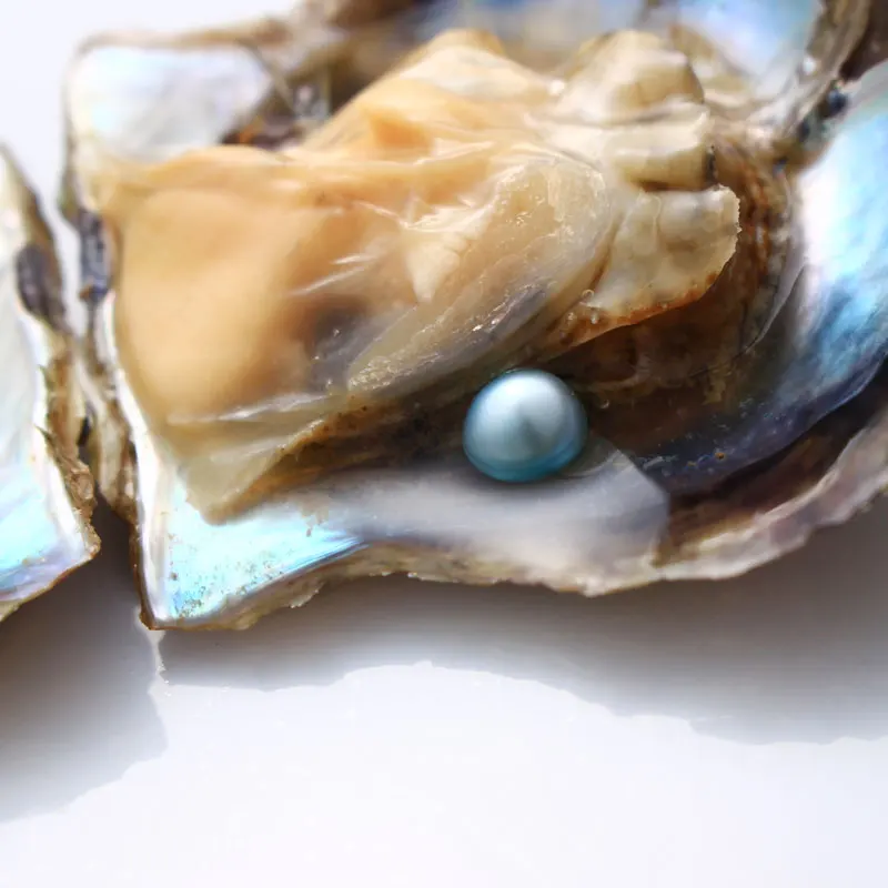 10 шт. низкая цена AAA одна специальная детская синяя Устрица акойя s 6 8 мм круглая