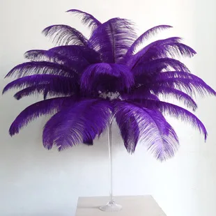 

Hot! Free shipping manufacturers selling 10 PCS purple ostrich feathers 20-22inches/50-55cm