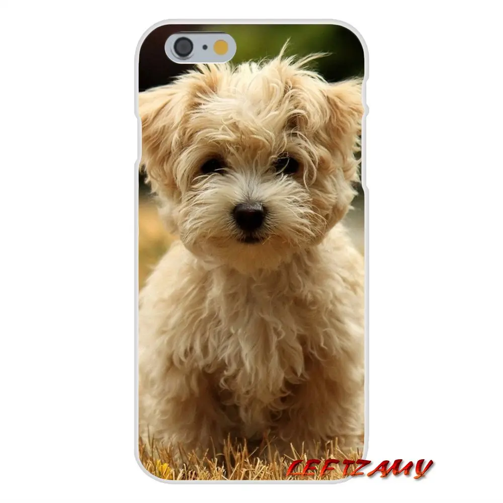 I Love My Maltese dog puppies аксессуары чехлы для телефонов Чехлы Huawei P Smart Plus Mate Honor 7A 7C 8C 8X 9 P10