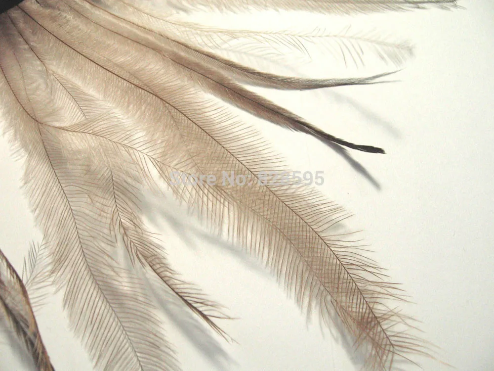 F470 коричнево серые фуксия синие желтые оранжевые зеленые страусиные перья