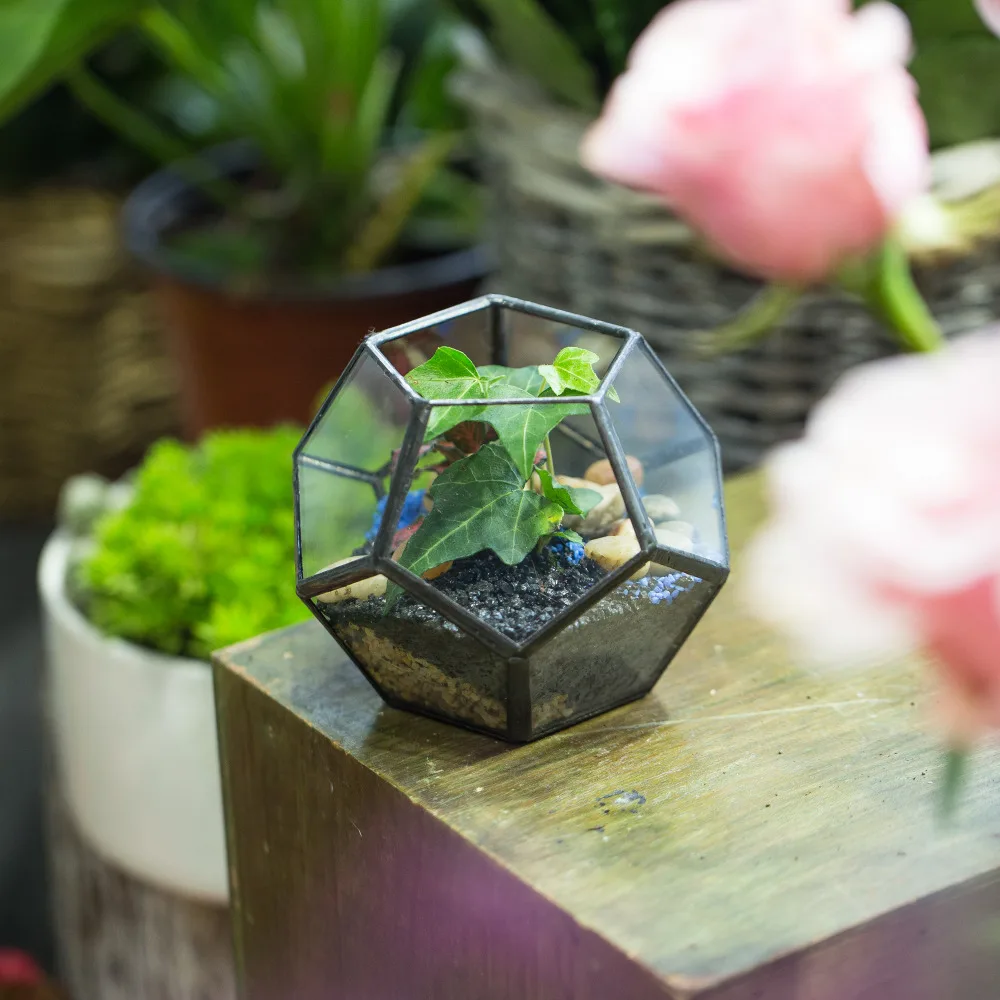 

Garden Mini Terrarium Planter Glass Geometric Flower Pot Handmade Artistic Small Succulent Fern Moss Plant Terrarium Decoration