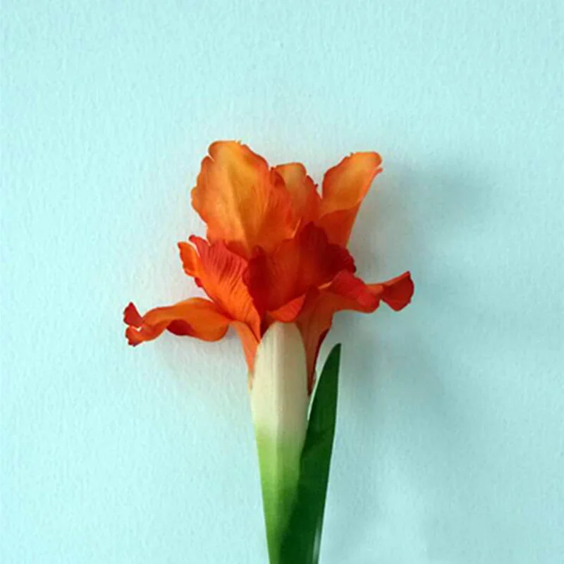 10 шт искусственный шелк радужной оболочки Цветы Свадебная вечеринка украшения