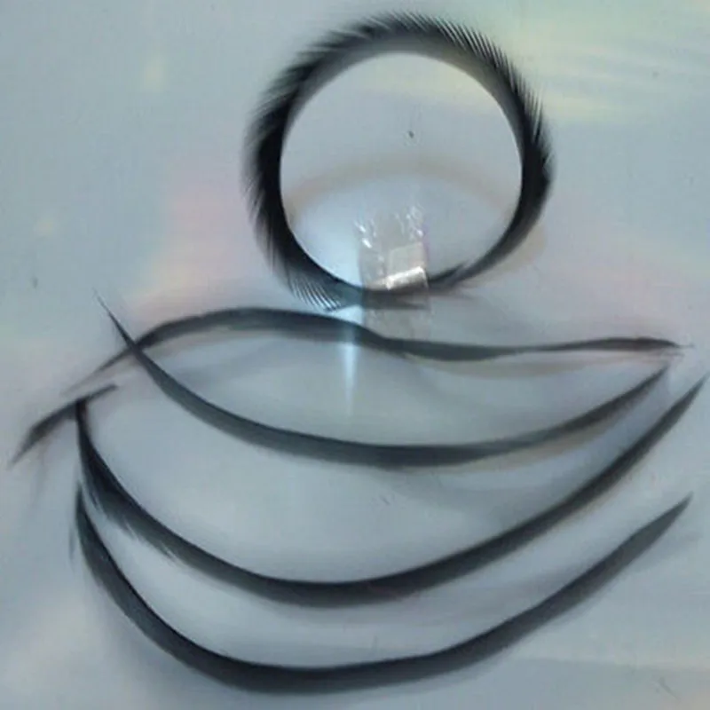 Оптовая продажа красивые высококачественные натуральные фазаньи 10 шт. 15 20 см/6 8