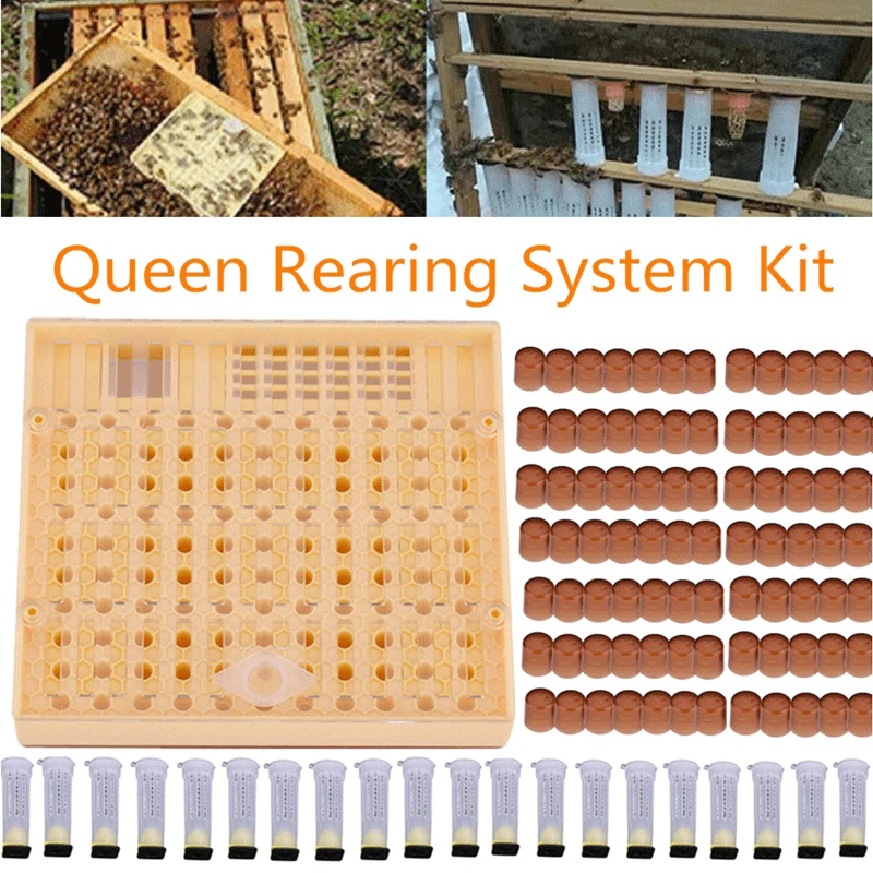 1 Набор комплектных чашек для сотовых ящик пчеловодства