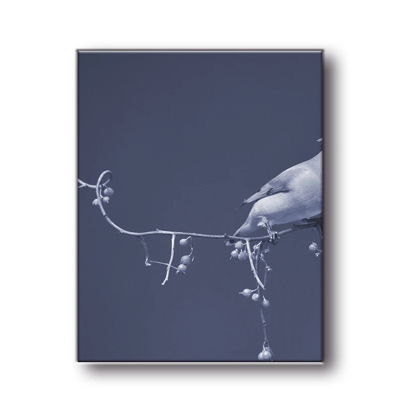 

Gohipang Nordic Frameless Poster Wallpaper Bird Branch Modern Canvas Painting Art Poster Print Art Wall Picture Children's Room