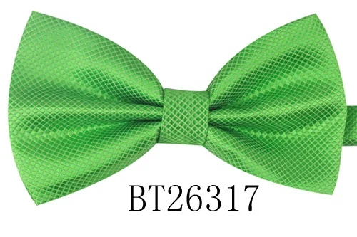 BT26317 Мужской галстук-бабочка, классические рубашки, галстук-бабочка для мужчин, галстук-бабочка для взрослых, одноцветные галстуки-бабочки, Галстуки Для Свадьба, галстуки-бабочки - Цвет: BT26317