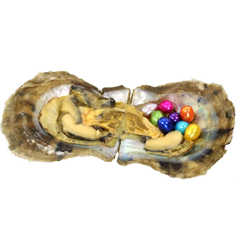 5pcs Vacuum Packed Oyster Fashion Saltwater Mini Monster with Multiple Pearls 3-10 Colored Rice Oval Akoya ABH834 | Украшения и