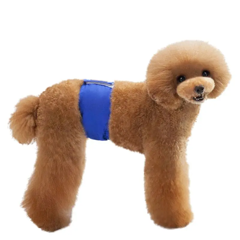 Мужские физиологические штаны для щенков нижнее белье живота хлопковые