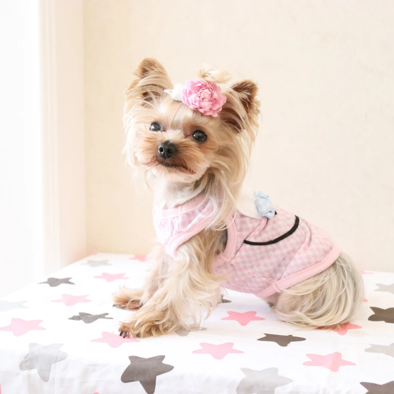 Kawaii Милая Одежда для кошек рубашки домашних животных собак породы Йоркширский