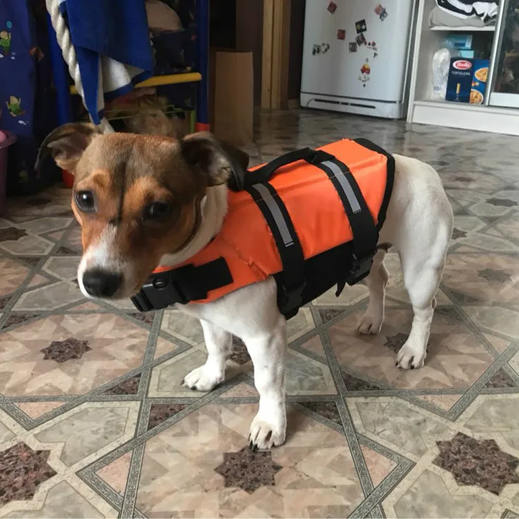 Крутая летняя одежда для домашних животных Экономная Спасательная куртка