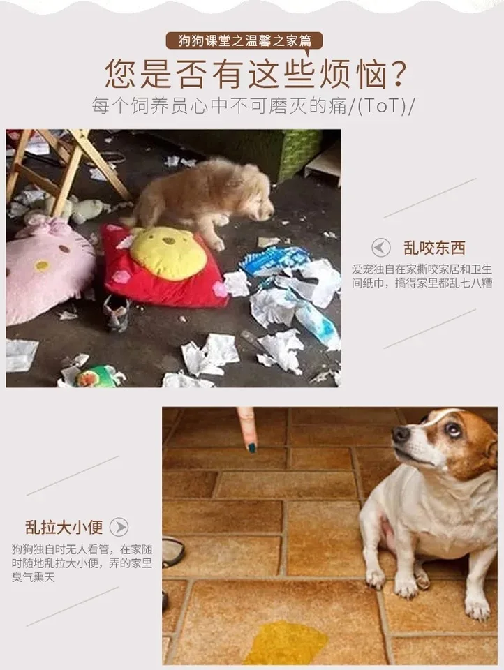 Складной DIY комбинированная клетка из проволочной сетки для питомцев маленькая собачка Тедди клетка для собак кошачий забор клетка многофункциональный забор железная забор для питомцев