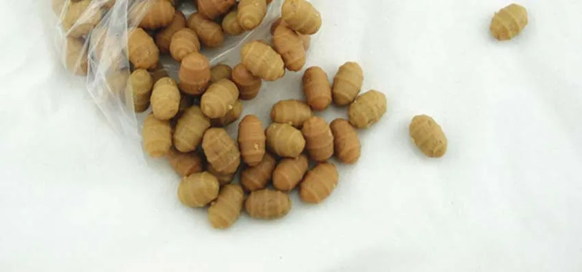 Поделиться с рыбой 50 шт./пакет мягкая поддельная плавающая Тигровая наживка