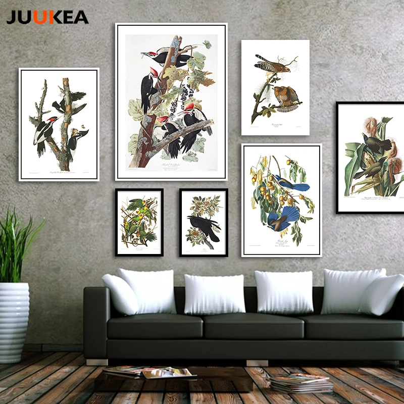 John James audubon Америка Товары для птиц коллекция HD высокое качество холст Книги по