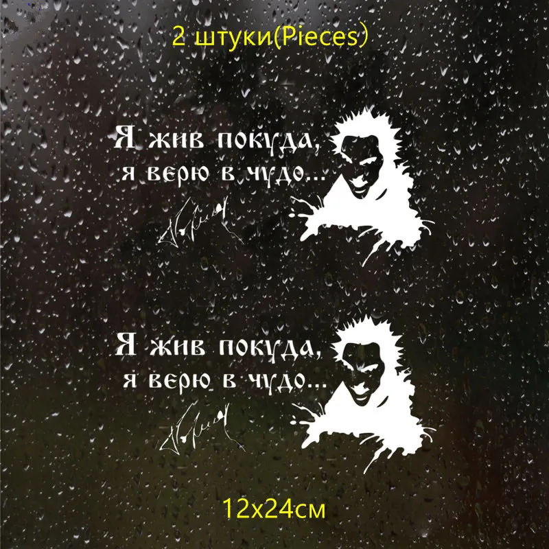 CS-031#12*24см 29*59см Король и шут Я жив покуда я верю в чудо. водонепроницаемые наклейки на авто наклейки на машину наклейка для авто автонаклейка стикер - Название цвета: CS299 Silver-2 PCS