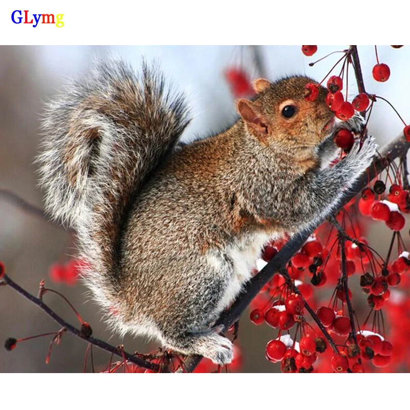 GLymg ремесла Diy белка Алмазная вышивка животные картина Картина Вышивка крестом