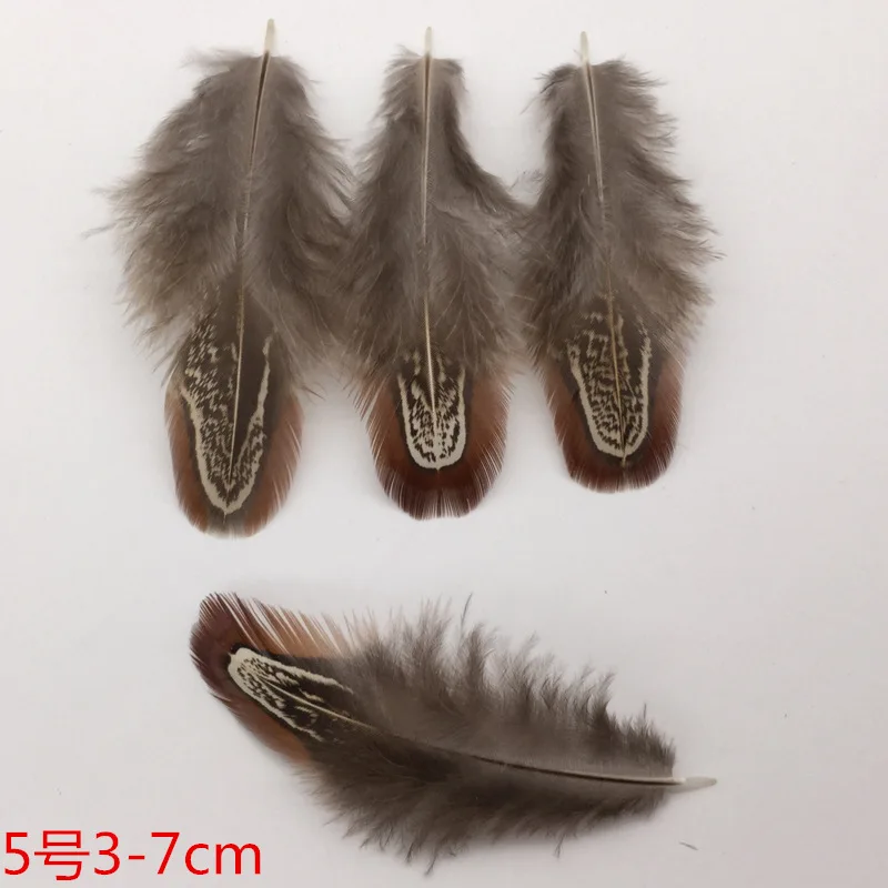 No5 50 шт. 14 видов натурального цвета красивый петух feathers3-15cmpheasant куриное перо для DIY вечерние украшения - Цвет: No5