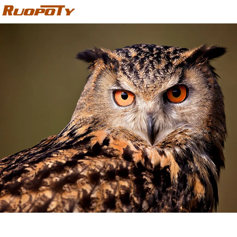 RUOPOTY 60x75 см рамка Сова сделай сам картина по номерам набор животные Раскраска по номерам Современная Настенная художественная картина по номерам домашний декор