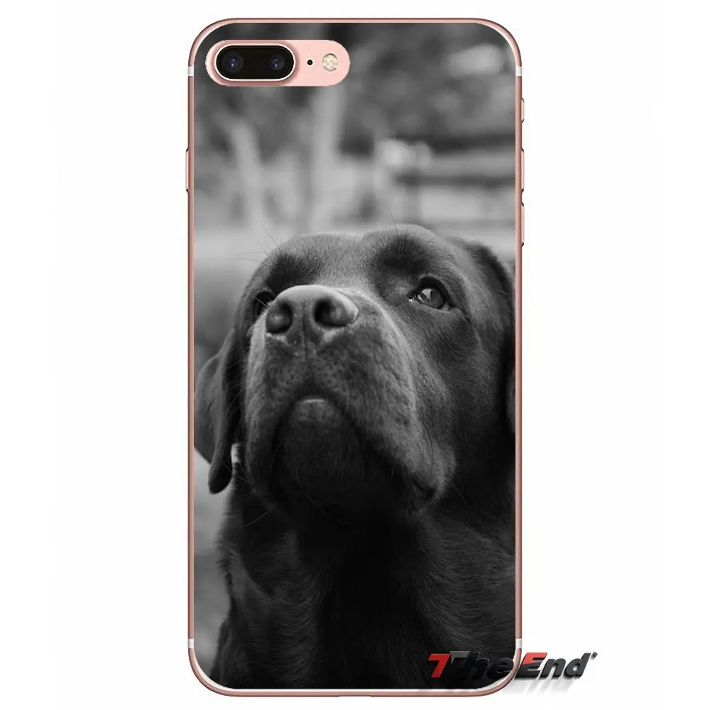 Accessories Phone Shell Covers funny labrador dog For Xiaomi Mi6 Mi 6 A1 Max Mix 2 5X 6X Redmi Note 5 5A 4X 4A A4 4 3 Plus Pro | Мобильные