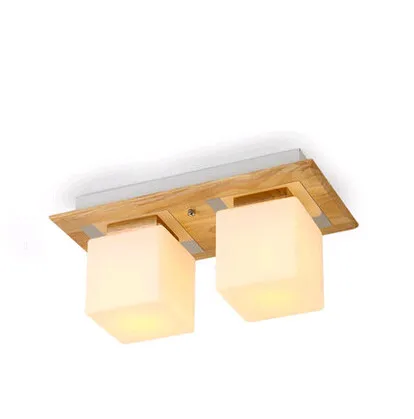 Современный Индивидуальный маленький белый матовый стеклянный потолочный