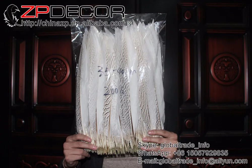 Фото ZPDECOR 14-16 дюймов (35-40 см) 50 шт./лот, красивые отбеленные белые серебряные перья фазана для Showgirl, карнавальные костюмы, головной убор №5